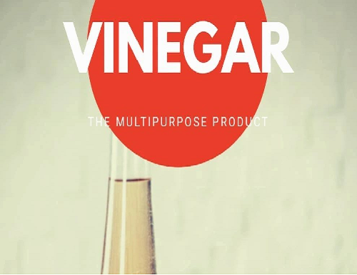 THE HEALING POWER OF VINEGAR